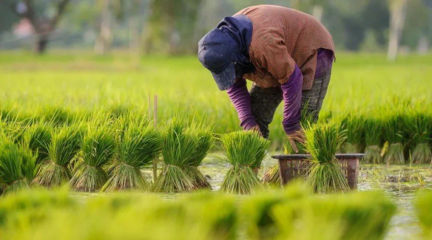 Accelerate innovation with world-class tech teams We’ll match you