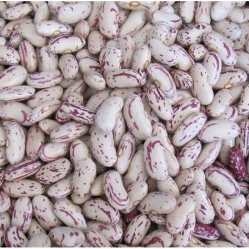 Light Speckle Kidney Beans