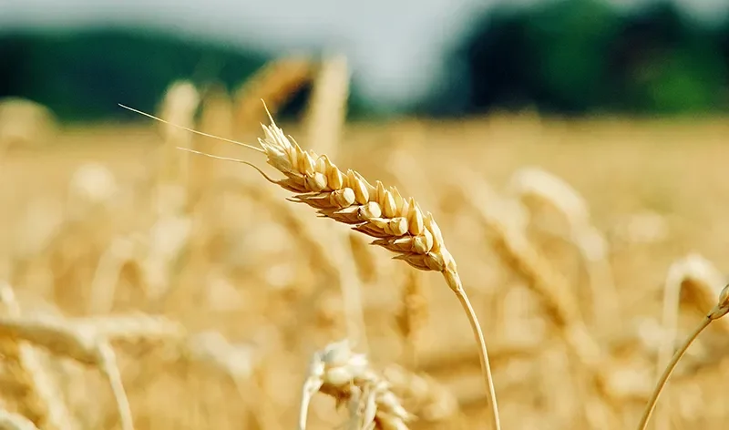 There are many variations of passages of Lorem Ipsum available, but majority have suffered teration in some form, by injected humour, or randomised words which don't look even slight believable. If you are going to use a passage of Lorem Ipsum.